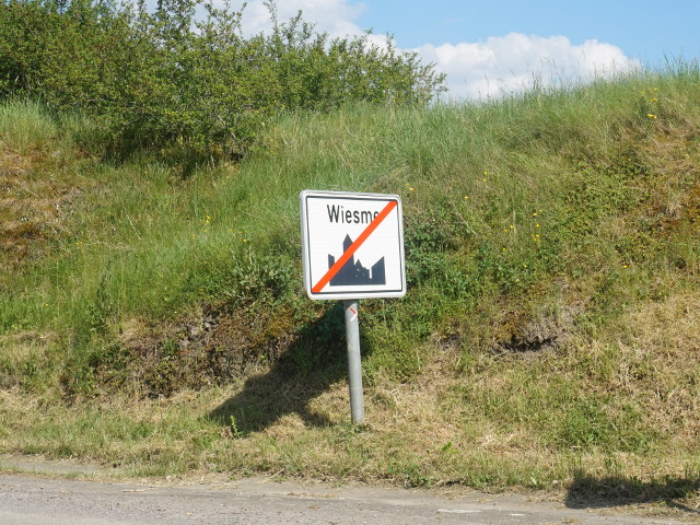 DSC04183wiesme_e