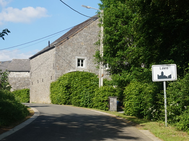 DSC04198lavis_w