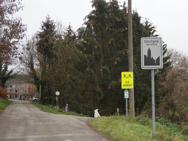 DSC08483hautgne_w