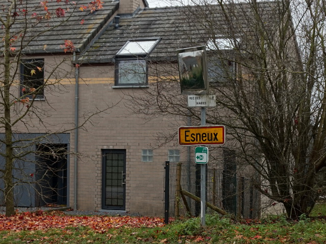 DSC08487esneux_g