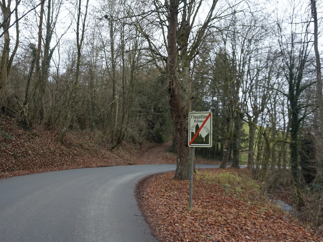 DSC08489flagothier_e