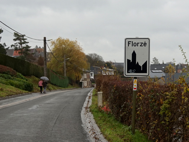 DSC08501florze_w