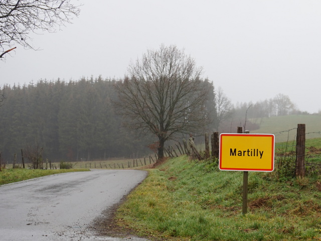 DSC08549martilly_g