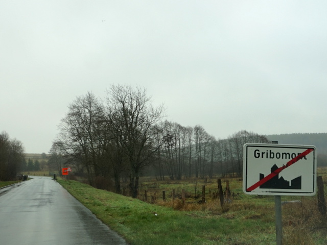 DSC08564gribomont_e