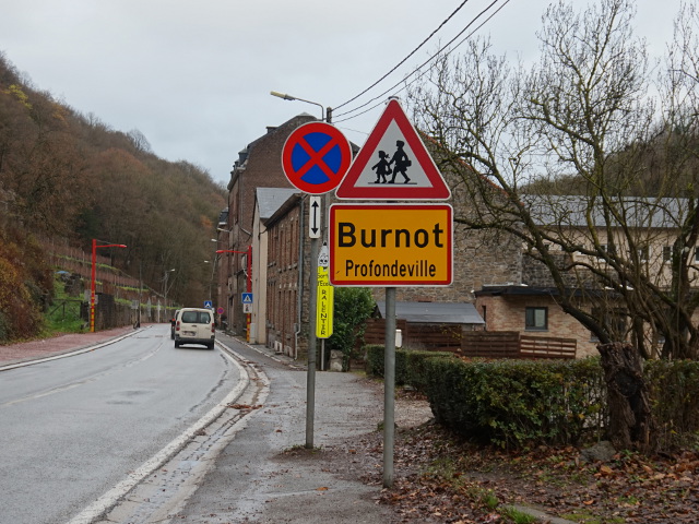 DSC08607burnot_g
