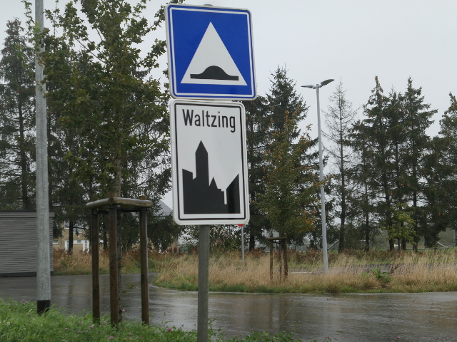 P1310524waltzing_w