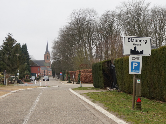 DSC00203blauberg_w