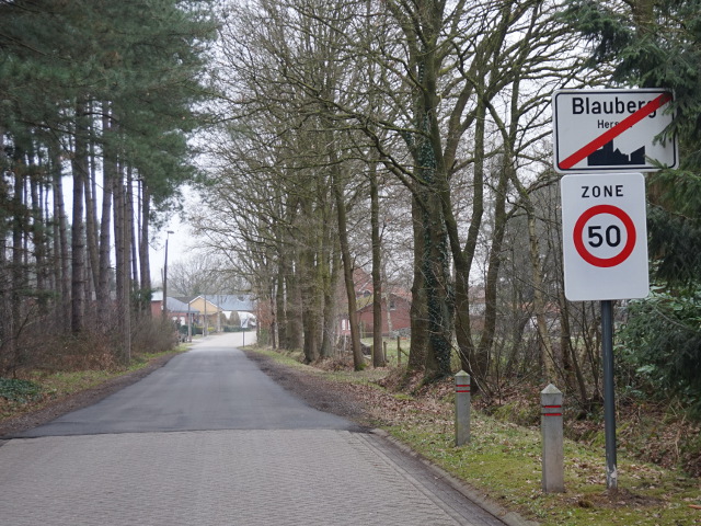 DSC00204blauberg_e