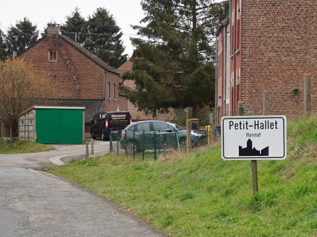 DSC00227petithallet_w