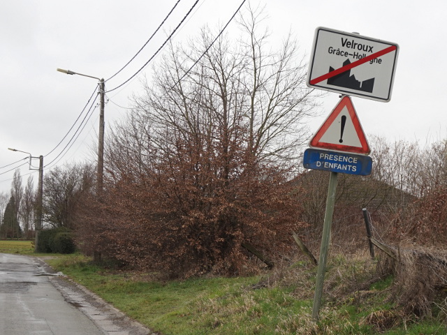 DSC00330velroux_e