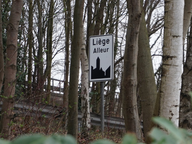 DSC00332alleur_w
