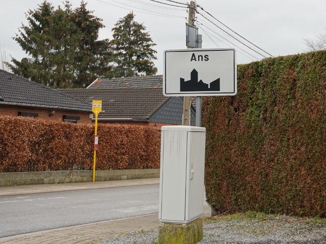 DSC00334ans_w