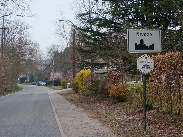 DSC00943niveze_w