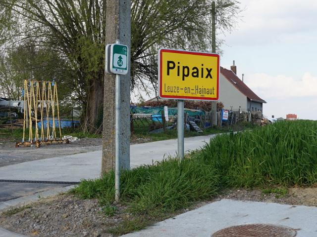 DSC01248pipaix_g