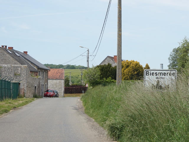 DSC02598biesmeree_w