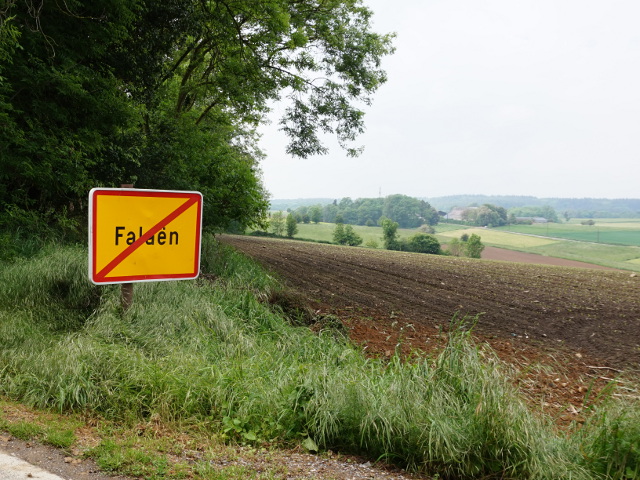 DSC02712falaen_g