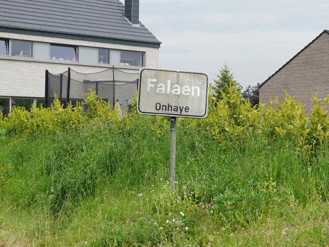 DSC02713falaen_w