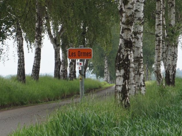 DSC02723lesormes_g