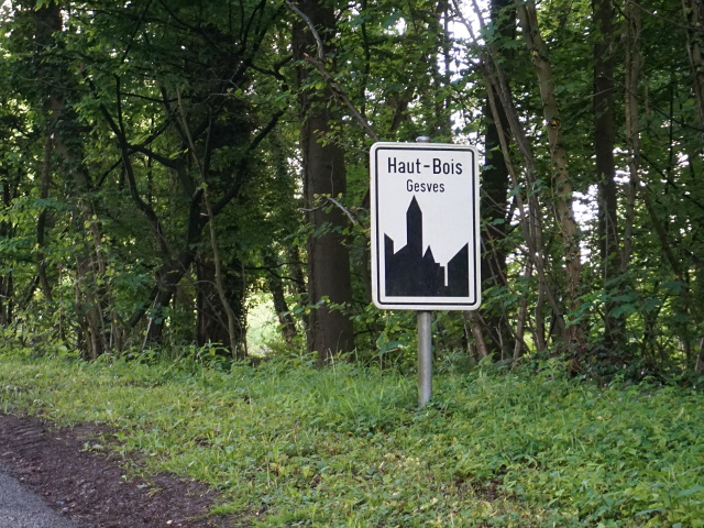 DSC02732hautbois_w
