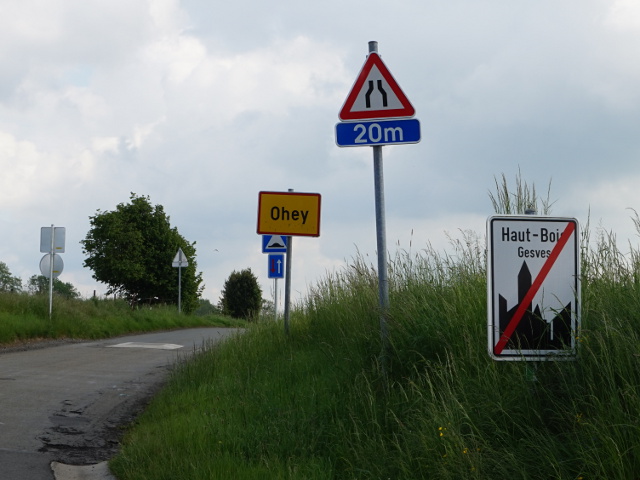 DSC02733hautbois_e