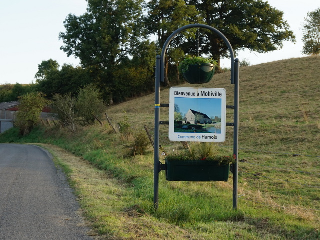 DSC05095mohiville_x