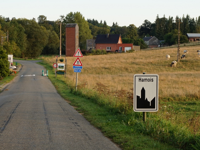 DSC05105scy_hamois_w