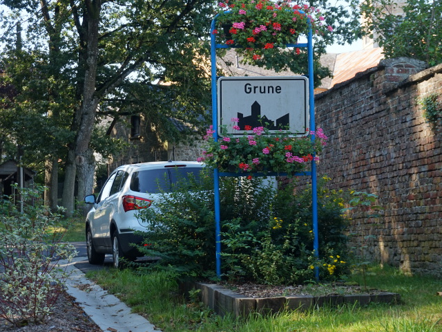 DSC05144grune_w