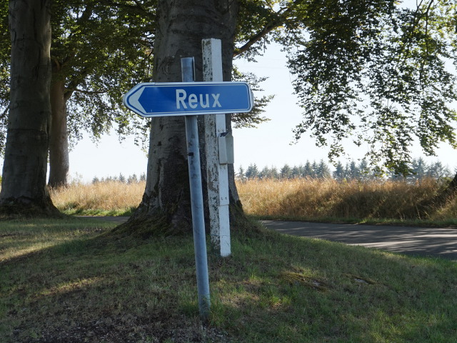 DSC05160reux_n
