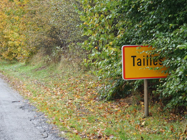 DSC06086tailles_g