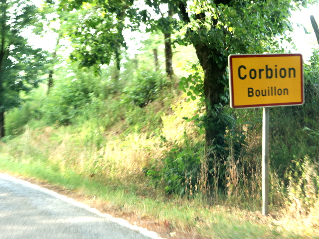IMG_4215corbion_g