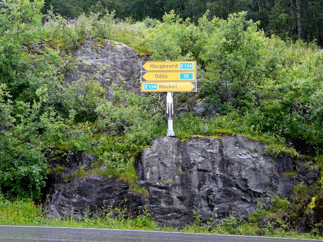 P1180579g13