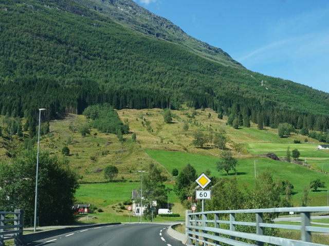 DSC04593x60