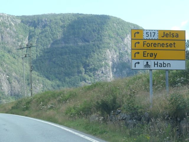 P1300293x517